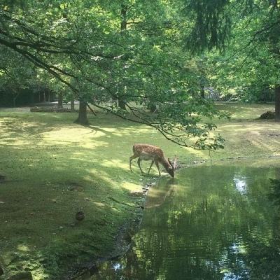 多方联动、多措并举！他们持续擦亮陆家嘴“旅游名片”